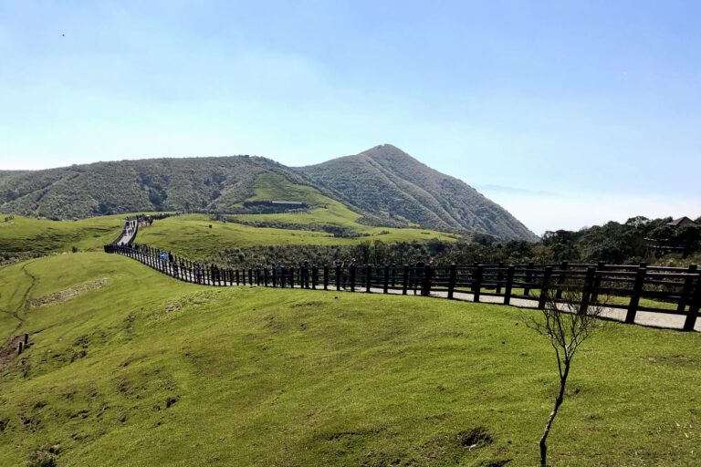 北投陽明山一日遊包車|小油坑、竹子湖、擎天崗、冷水坑、硫磺谷、北投溫泉|8小時|台北/新北出發 7 台北陽明山一日遊包車|小油坑、竹子湖、擎天崗、冷水坑、硫磺谷、北投溫泉|8小時|台北/新北出發