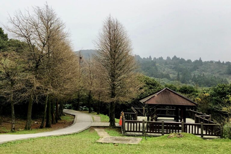 北投陽明山一日遊包車|小油坑、竹子湖、擎天崗、冷水坑、硫磺谷、北投溫泉|8小時|台北/新北出發 2 台北陽明山一日遊包車|小油坑、竹子湖、擎天崗、冷水坑、硫磺谷、北投溫泉|8小時|台北/新北出發