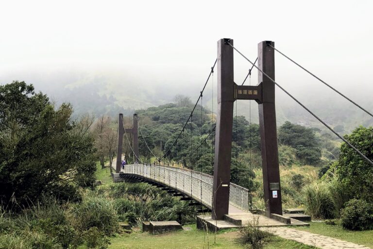 北投陽明山一日遊包車|小油坑、竹子湖、擎天崗、冷水坑、硫磺谷、北投溫泉|8小時|台北/新北出發 3 台北陽明山一日遊包車|小油坑、竹子湖、擎天崗、冷水坑、硫磺谷、北投溫泉|8小時|台北/新北出發