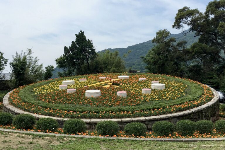 北投陽明山一日遊包車|小油坑、竹子湖、擎天崗、冷水坑、硫磺谷、北投溫泉|8小時|台北/新北出發 8 台北陽明山一日遊包車|小油坑、竹子湖、擎天崗、冷水坑、硫磺谷、北投溫泉|8小時|台北/新北出發